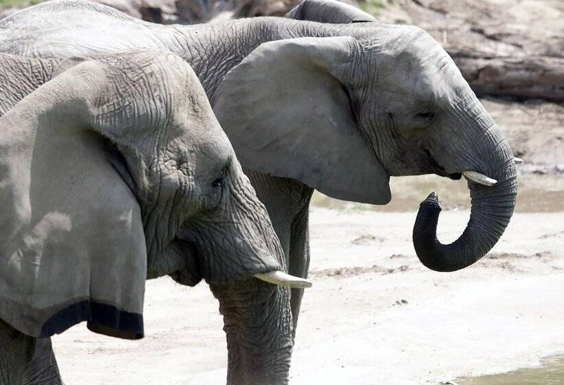 فندق Holiday Inn Garland, An Ihg