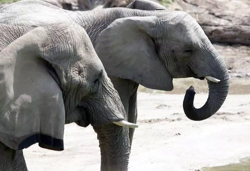 فندق Holiday Inn Garland, An Ihg