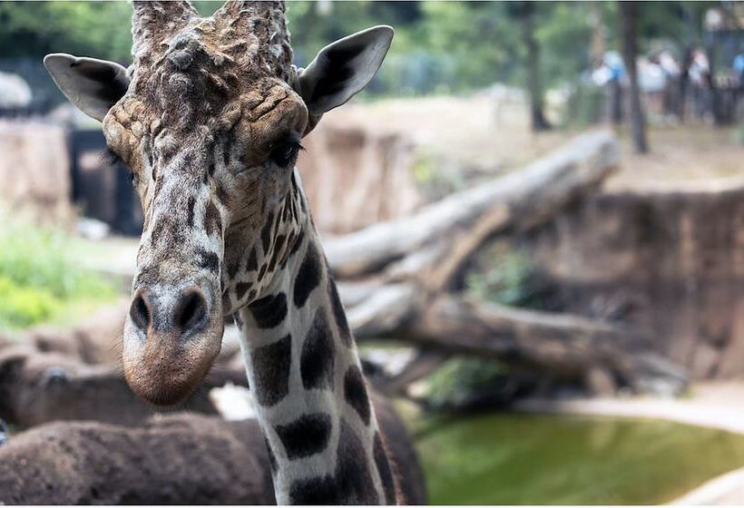 فندق Holiday Inn Garland, An Ihg