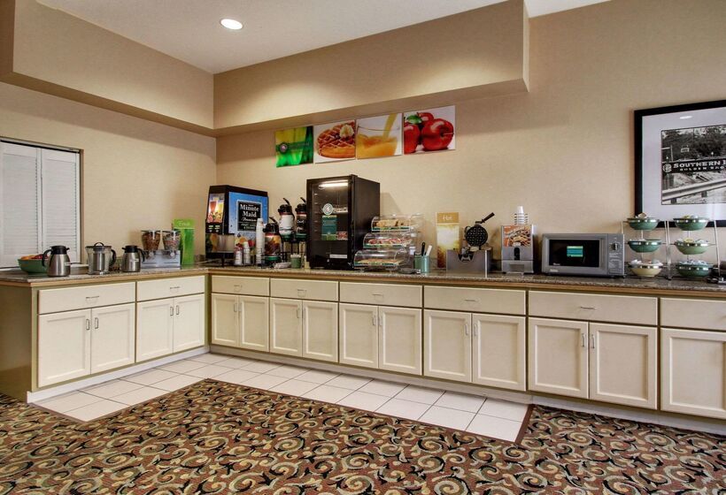 فندق Quality Inn &  Suites