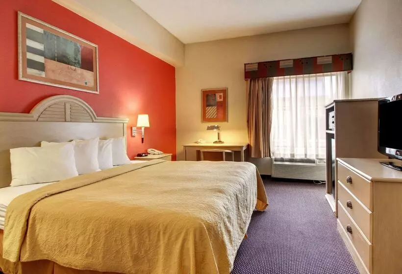 酒店 Quality Inn & Suites