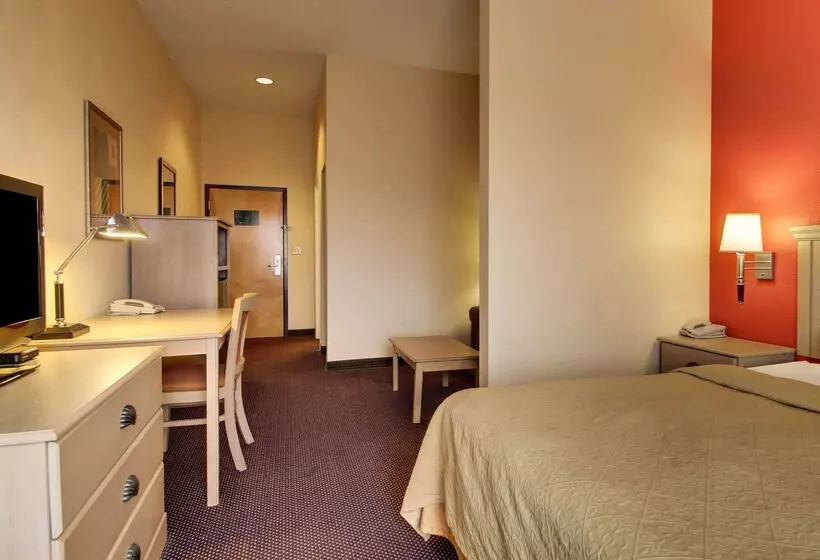 酒店 Quality Inn & Suites