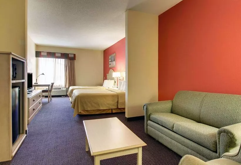 酒店 Quality Inn & Suites