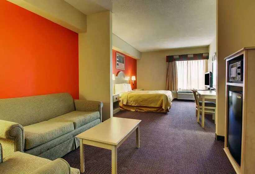 酒店 Quality Inn & Suites
