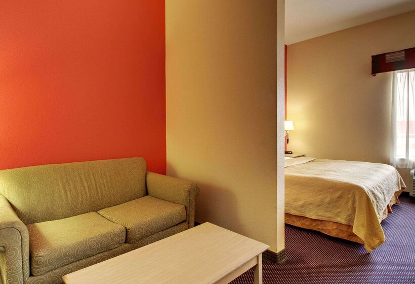 فندق Quality Inn &  Suites