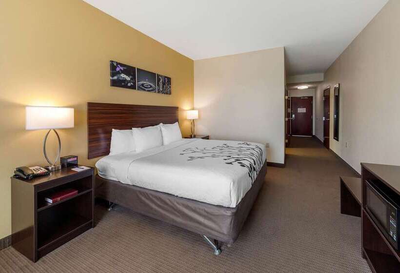ホテル Sleep Inn & Suites Norman Near University
