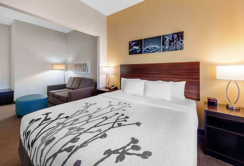 ホテル Sleep Inn & Suites Norman Near University