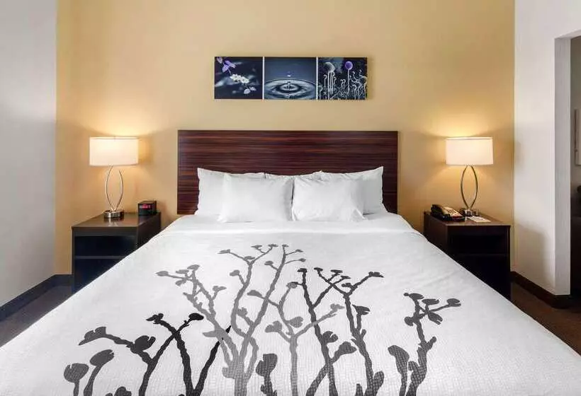 Отель Sleep Inn & Suites Norman Near University