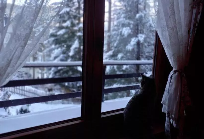 Good Bye Lenin Hostel Zakopane