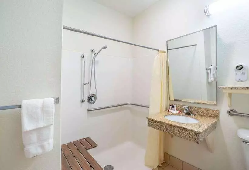 ホテル Baymont By Wyndham Albany