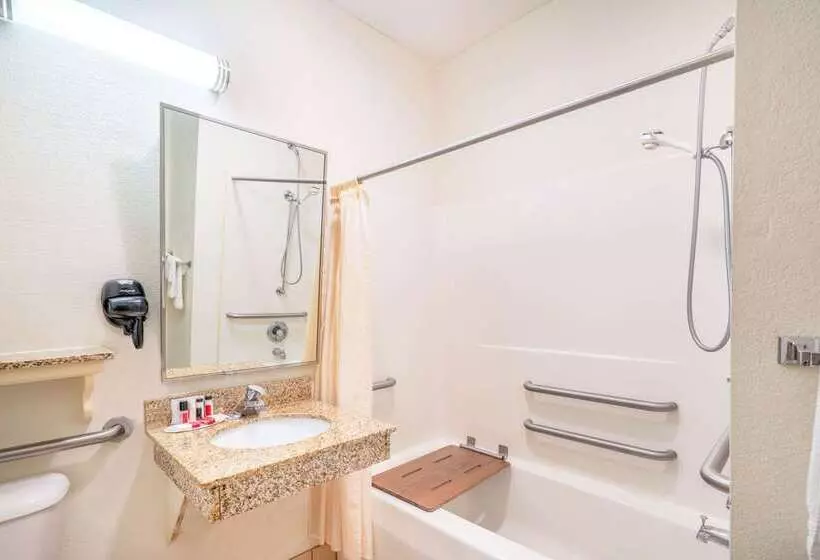 ホテル Baymont By Wyndham Albany