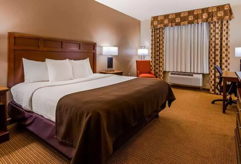 酒店 Best Western Littlefield Inn & Suites