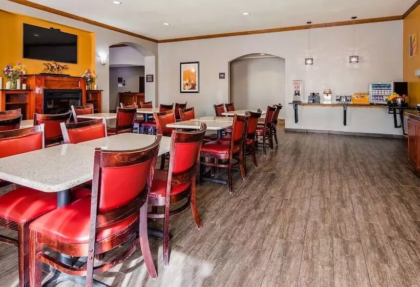 酒店 Best Western Littlefield Inn & Suites