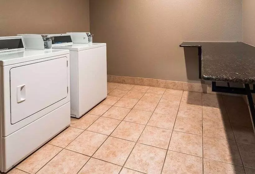 酒店 Best Western Littlefield Inn & Suites