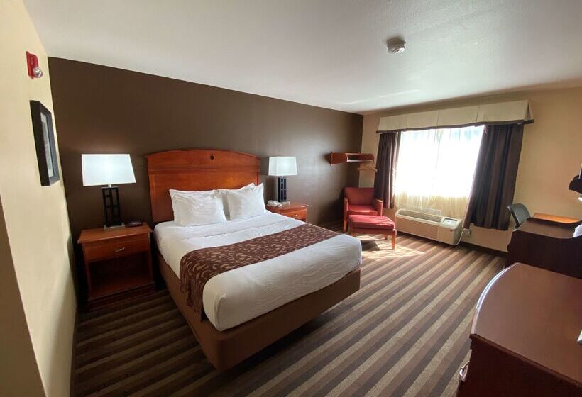 فندق Best Western Manhattan Inn