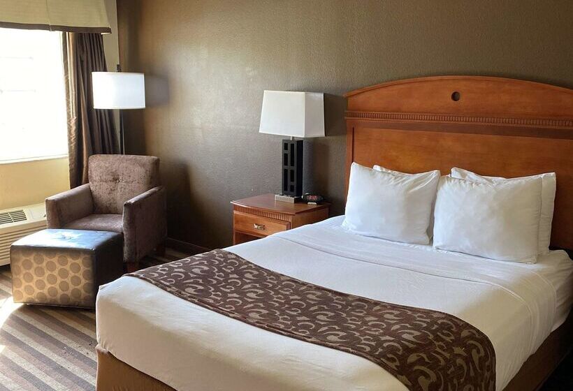 酒店 Best Western Manhattan Inn