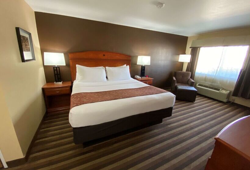 فندق Best Western Manhattan Inn