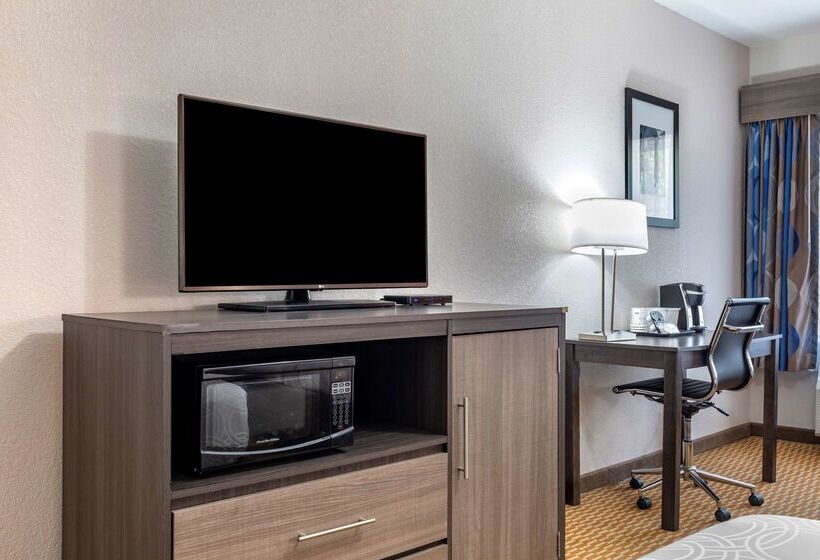 Отель Best Western Palo Duro Canyon Inn & Suites