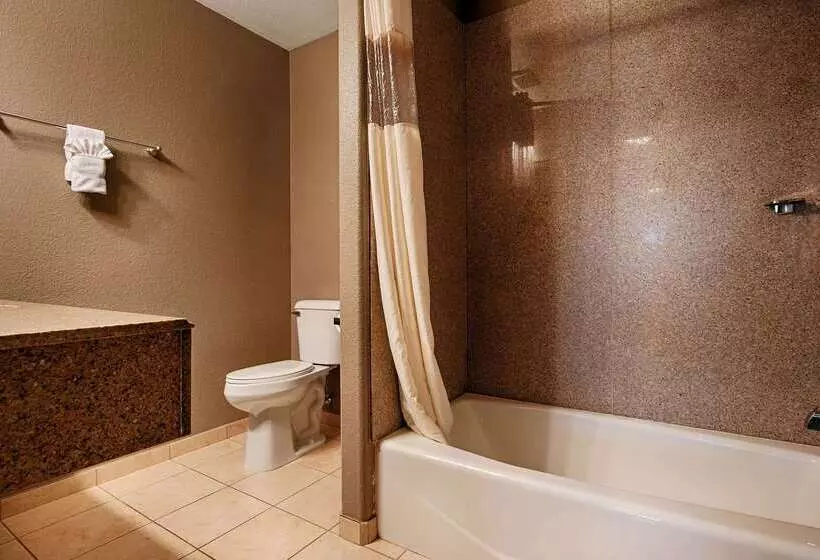 Отель Best Western Plus Main Street Inn