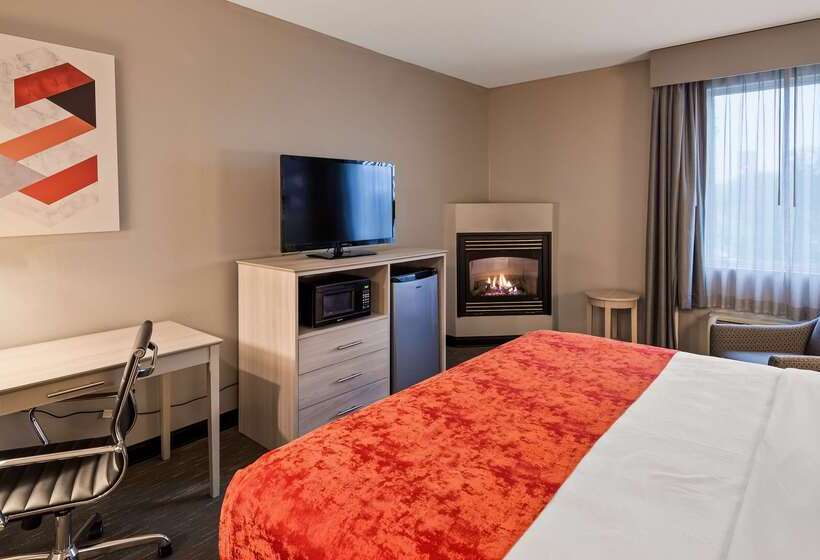 فندق Best Western Plus New Cumberland