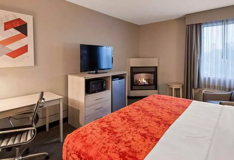 Отель Best Western Plus New Cumberland