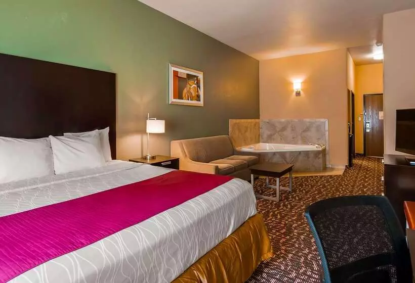 호텔 Best Western Plus The Woodlands