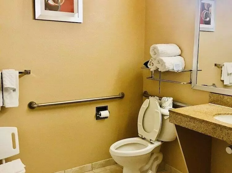 호텔 Best Western Plus The Woodlands