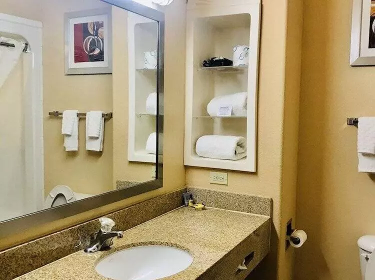 호텔 Best Western Plus The Woodlands