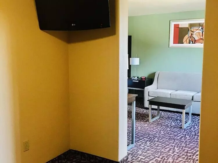 호텔 Best Western Plus The Woodlands