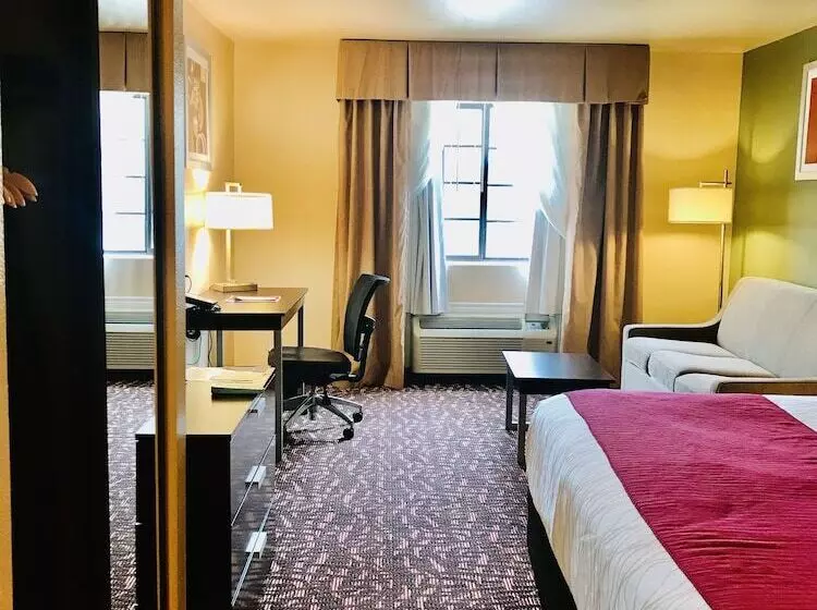 호텔 Best Western Plus The Woodlands