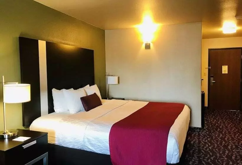 호텔 Best Western Plus The Woodlands