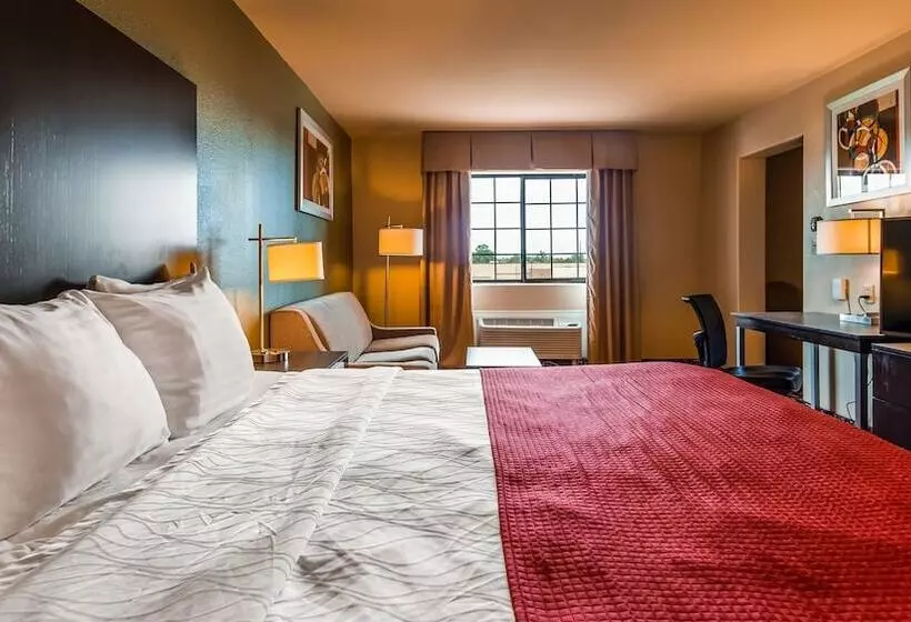 호텔 Best Western Plus The Woodlands