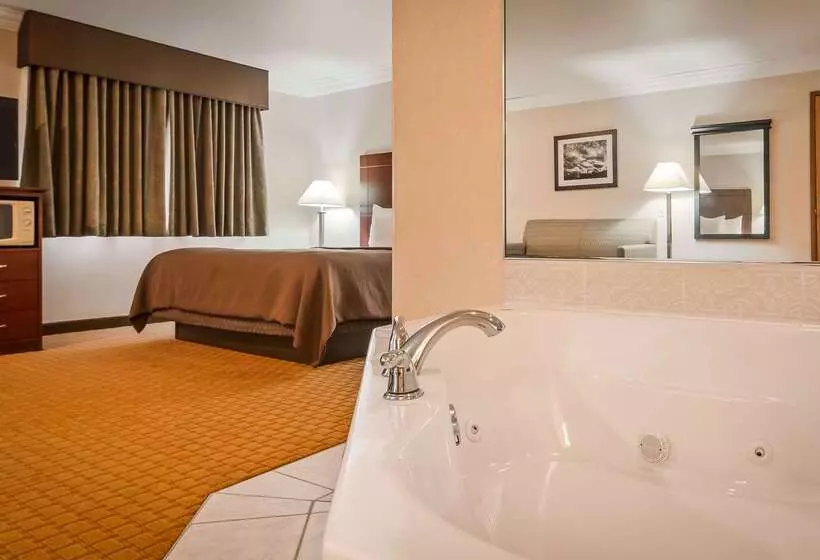 Otel Best Western Wittenberg Inn