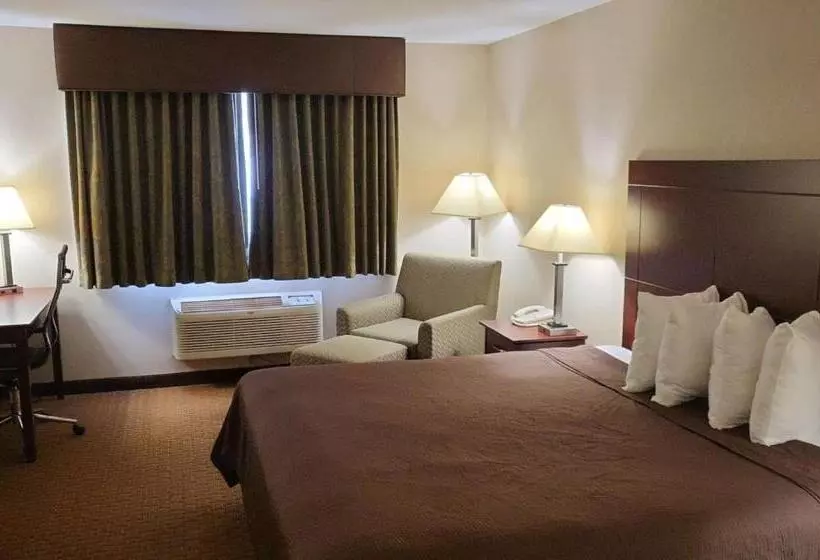 Otel Best Western Wittenberg Inn