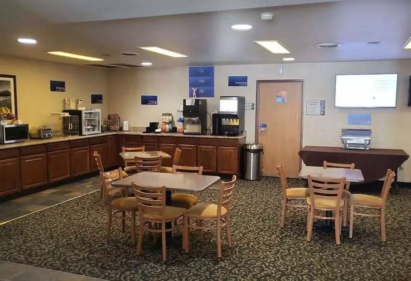 Otel Best Western Wittenberg Inn