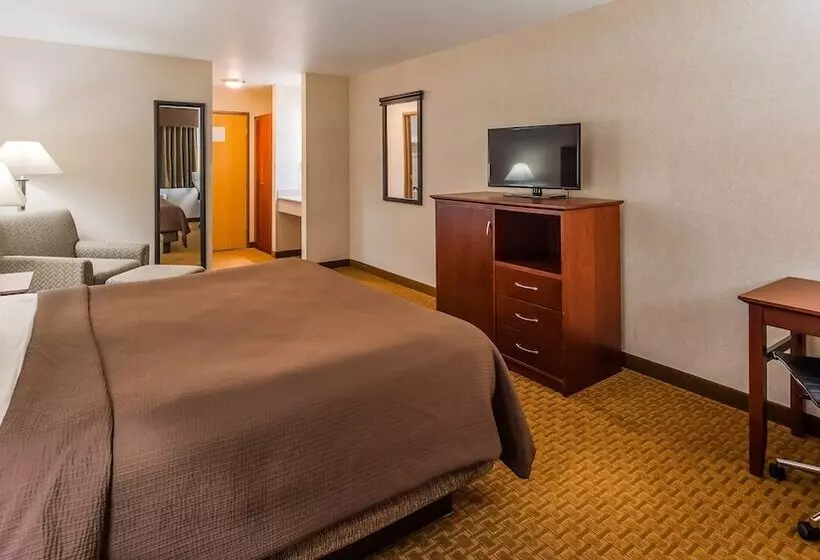 Otel Best Western Wittenberg Inn