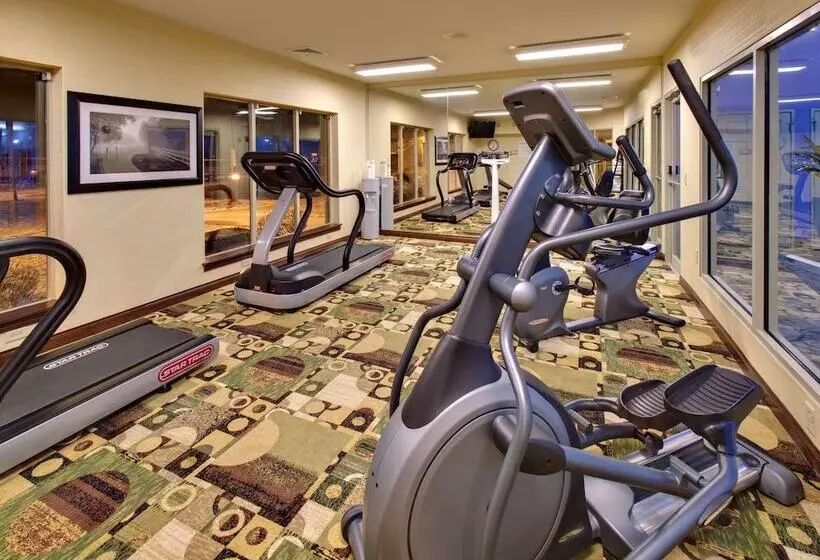 Holiday Inn Express Hotel & Suites Pleasant Prairie Kenosha, An Ihg