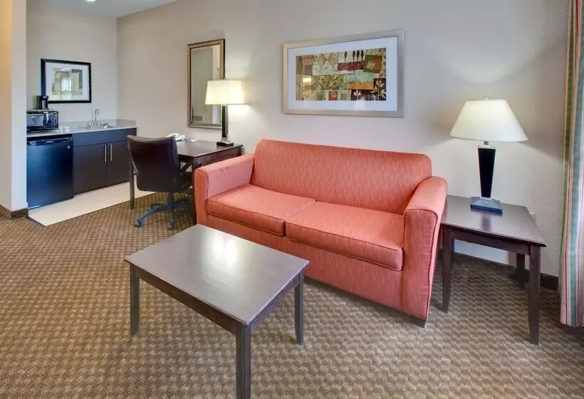 Holiday Inn Express Hotel & Suites Pleasant Prairie Kenosha, An Ihg