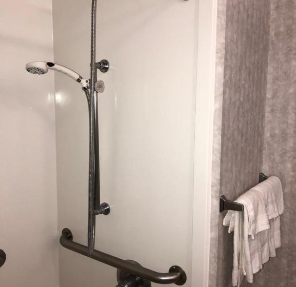 Отель Millennium Inn