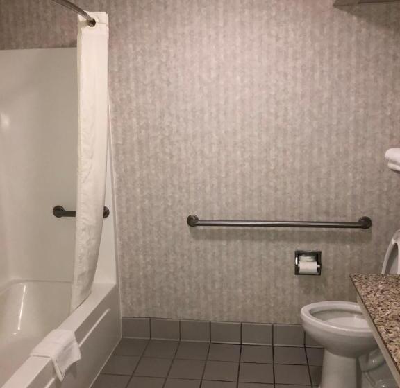 Отель Millennium Inn