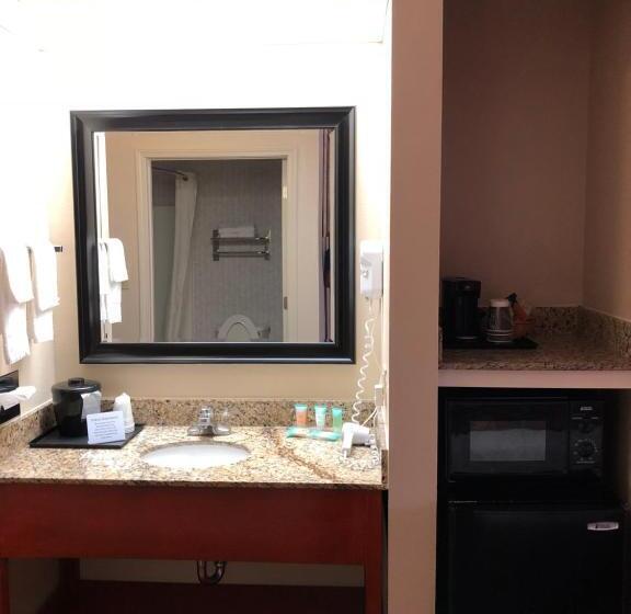 Отель Millennium Inn