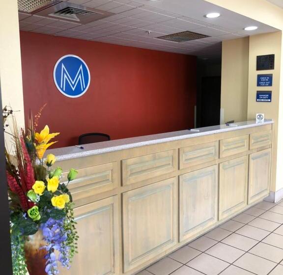 Отель Millennium Inn