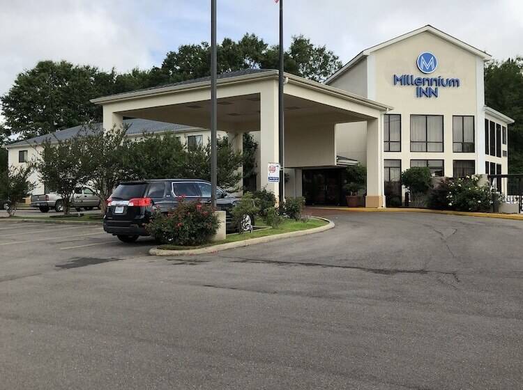Отель Millennium Inn