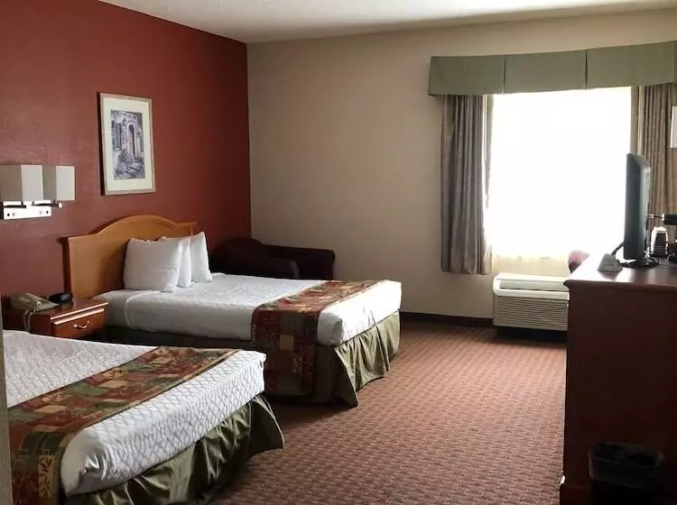 Отель Millennium Inn