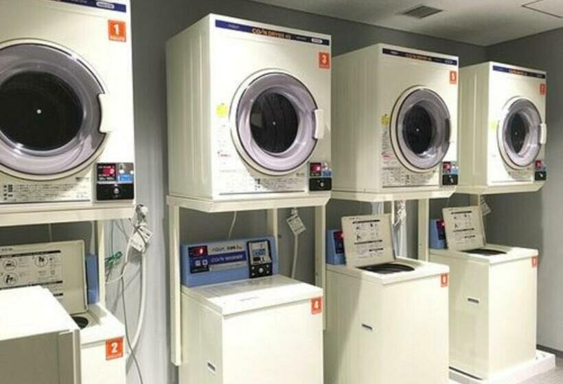 בית מלון כפרי Nihon Seinenkan