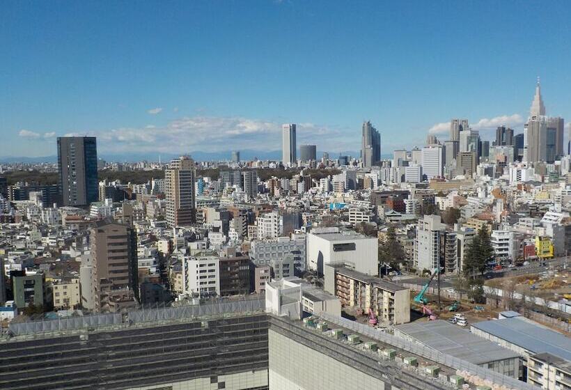 בית מלון כפרי Nihon Seinenkan