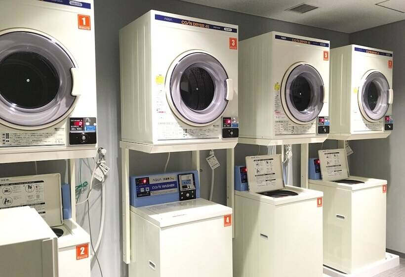 בית מלון כפרי Nihon Seinenkan