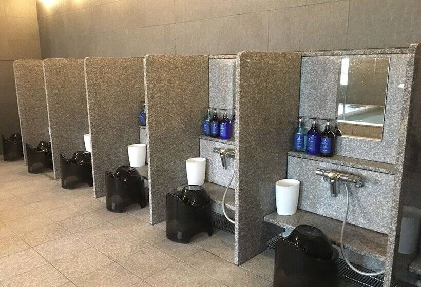 בית מלון כפרי Nihon Seinenkan