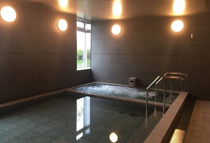 בית מלון כפרי Nihon Seinenkan