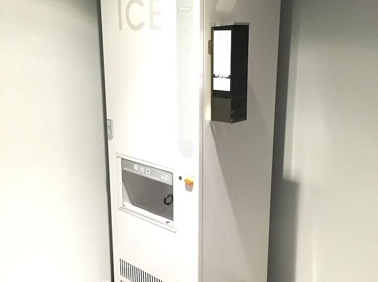 בית מלון כפרי Nihon Seinenkan